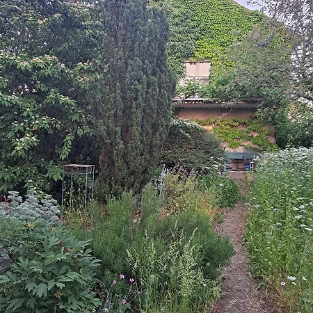 Im Efeu Homestay szállás