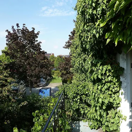 Im Efeu Grossniedesheim