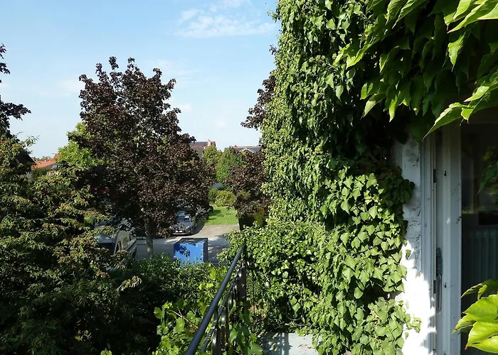 Im Efeu Grossniedesheim